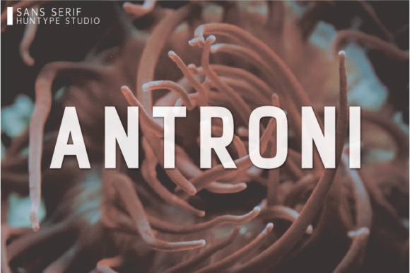 Antroni Review: A Designer’s Take on Modern Sans Serif