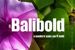 Balibold: A Bold Sans Serif Typeface for Modern Editors