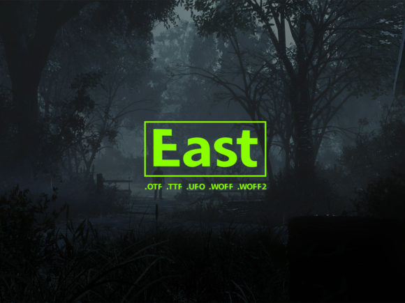 East: A Designer’s Honest Review for Real Branding