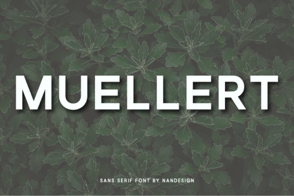 Muellert: A Bold Sans Serif Font for Modern Branding