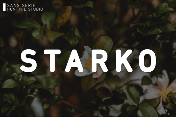 Starko: A Clean Sans Serif Font for Modern Web Design
