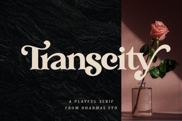 Transcity: A Bold Serif Font for Modern Web Design