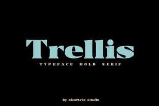 Trellis Font Review: Bold Serif for Campaigns